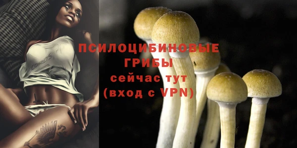 ГАЛЛЮЦИНОГЕННЫЕ ГРИБЫ Алзамай