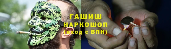 ГАЛЛЮЦИНОГЕННЫЕ ГРИБЫ Алзамай