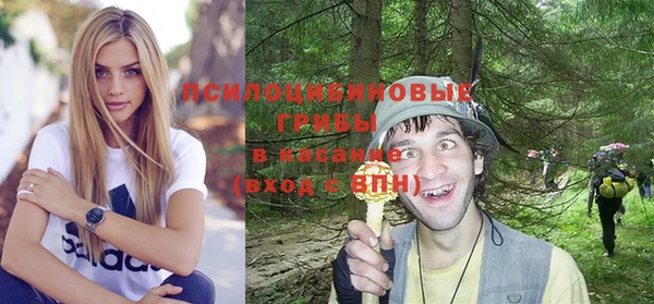 ГАЛЛЮЦИНОГЕННЫЕ ГРИБЫ Алзамай